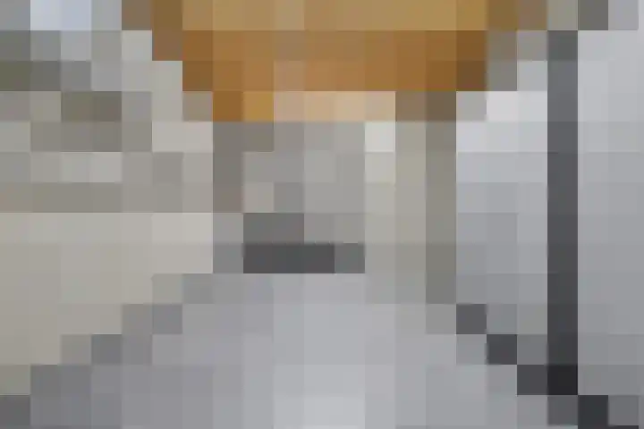Lensheuvel 29 Reusel thumbnail 35