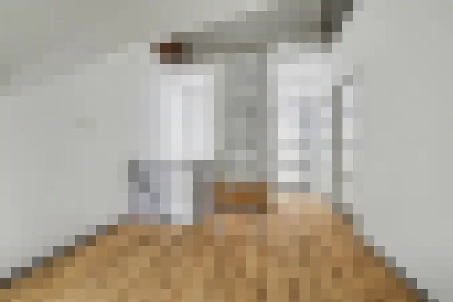 Lensheuvel 29 Reusel thumbnail 36