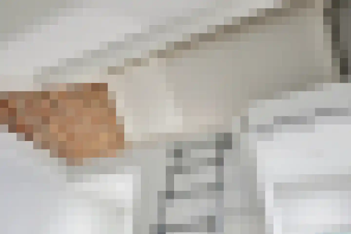 Lensheuvel 29 Reusel thumbnail 37