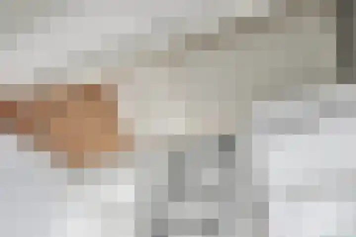 Lensheuvel 29 Reusel thumbnail 37