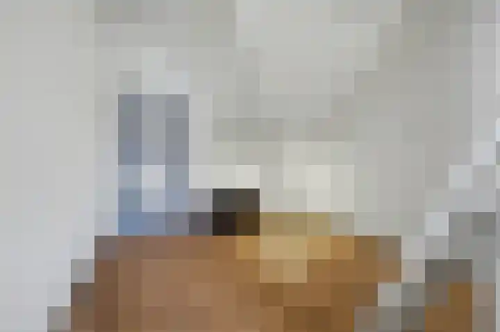 Lensheuvel 29 Reusel thumbnail 38