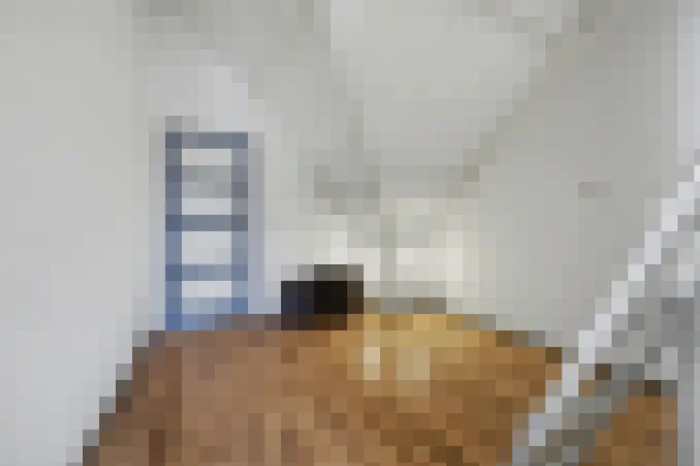 Lensheuvel 29 Reusel thumbnail 38