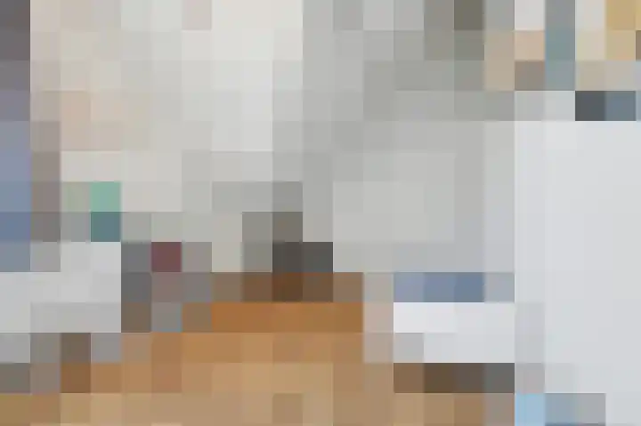 Lensheuvel 29 Reusel thumbnail 42