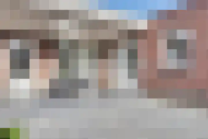 Lensheuvel 29 Reusel thumbnail 49