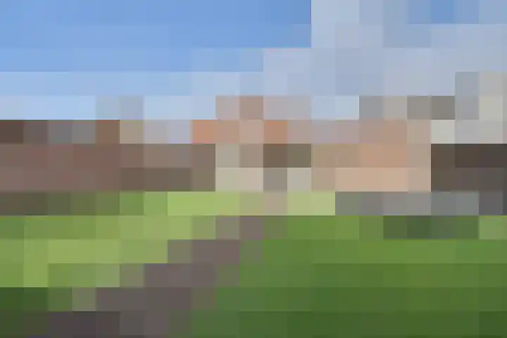 Lensheuvel 29 Reusel thumbnail 51