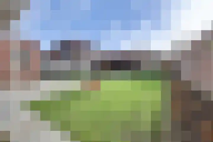 Lensheuvel 29 Reusel thumbnail 52