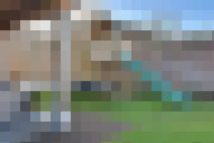 Lensheuvel 29 Reusel thumbnail 54