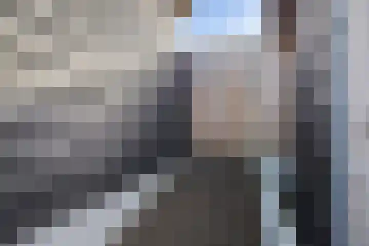 Lensheuvel 29 Reusel thumbnail 57