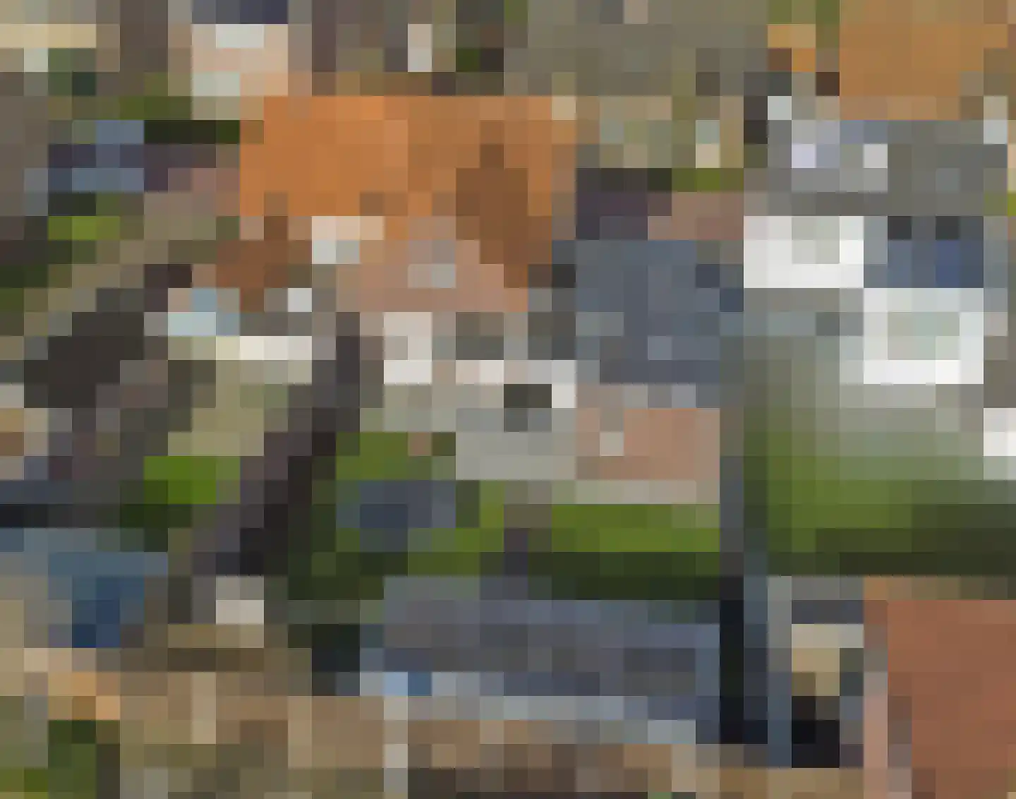 Lensheuvel 29 Reusel thumbnail 58