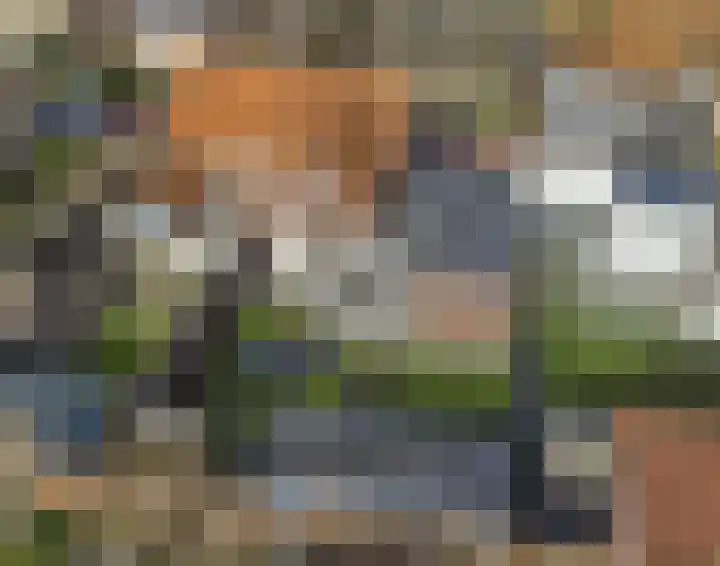 Lensheuvel 29 Reusel thumbnail 58