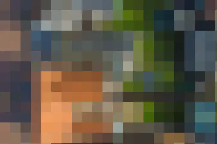Lensheuvel 29 Reusel thumbnail 59