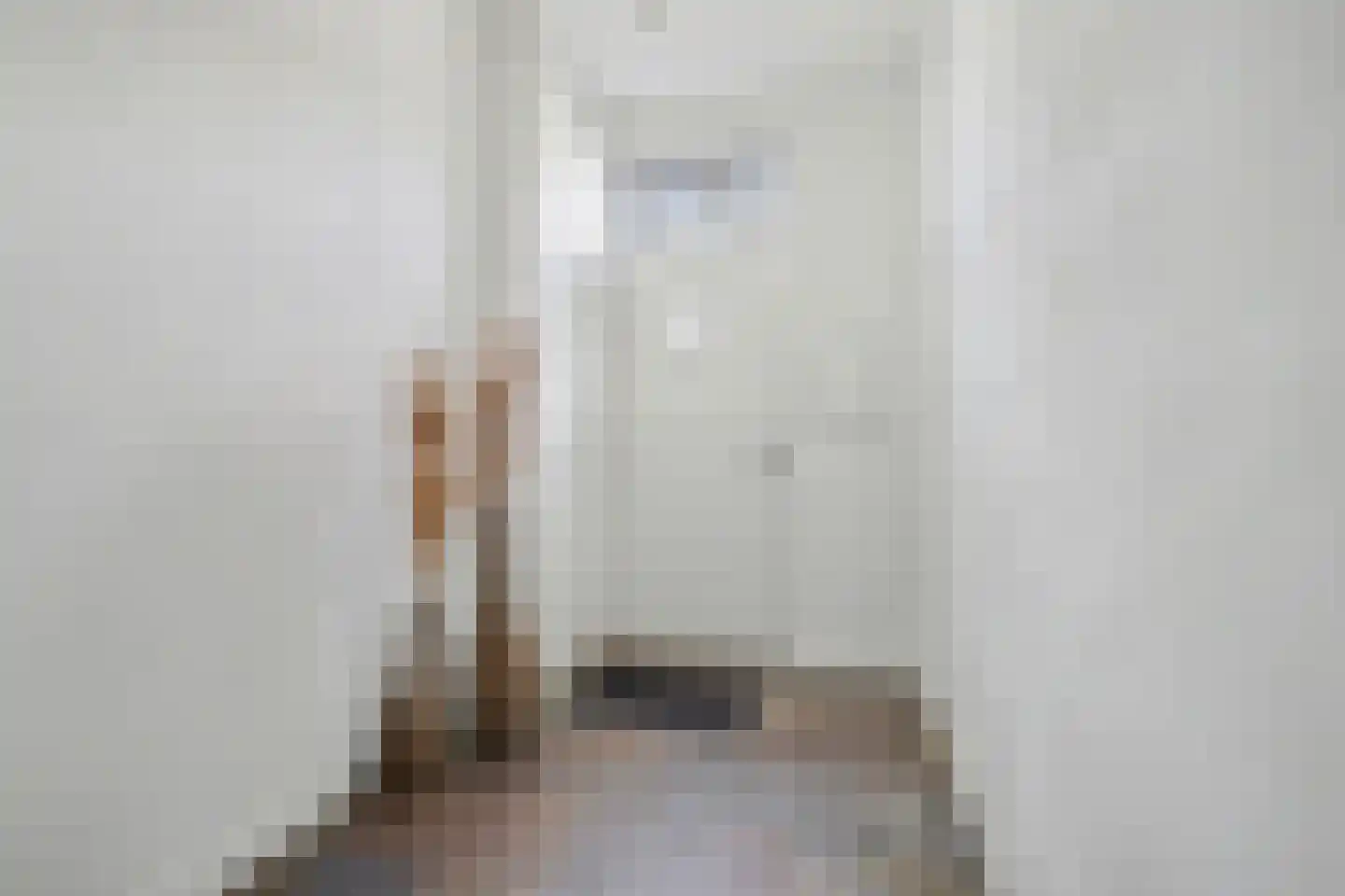 Lensheuvel 29 Reusel thumbnail 6