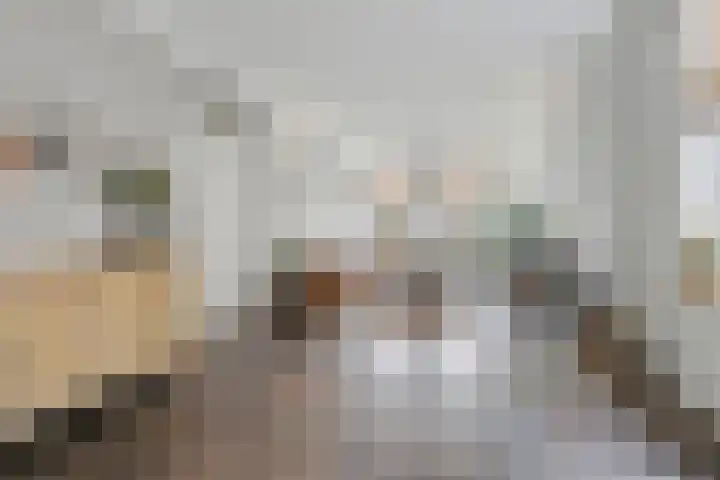 Lensheuvel 29 Reusel thumbnail 8