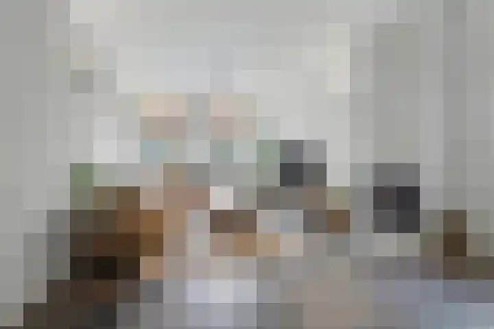 Lensheuvel 29 Reusel thumbnail 9