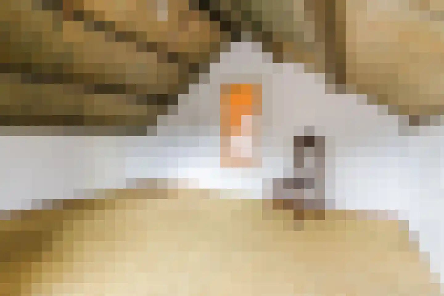 Lensheuvel 53 Reusel thumbnail 29