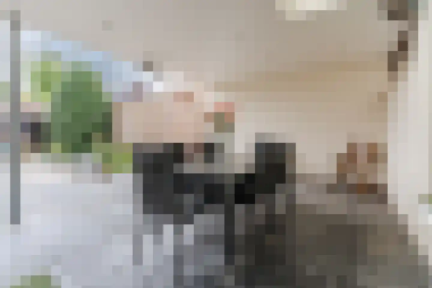 Lensheuvel 53 Reusel thumbnail 30