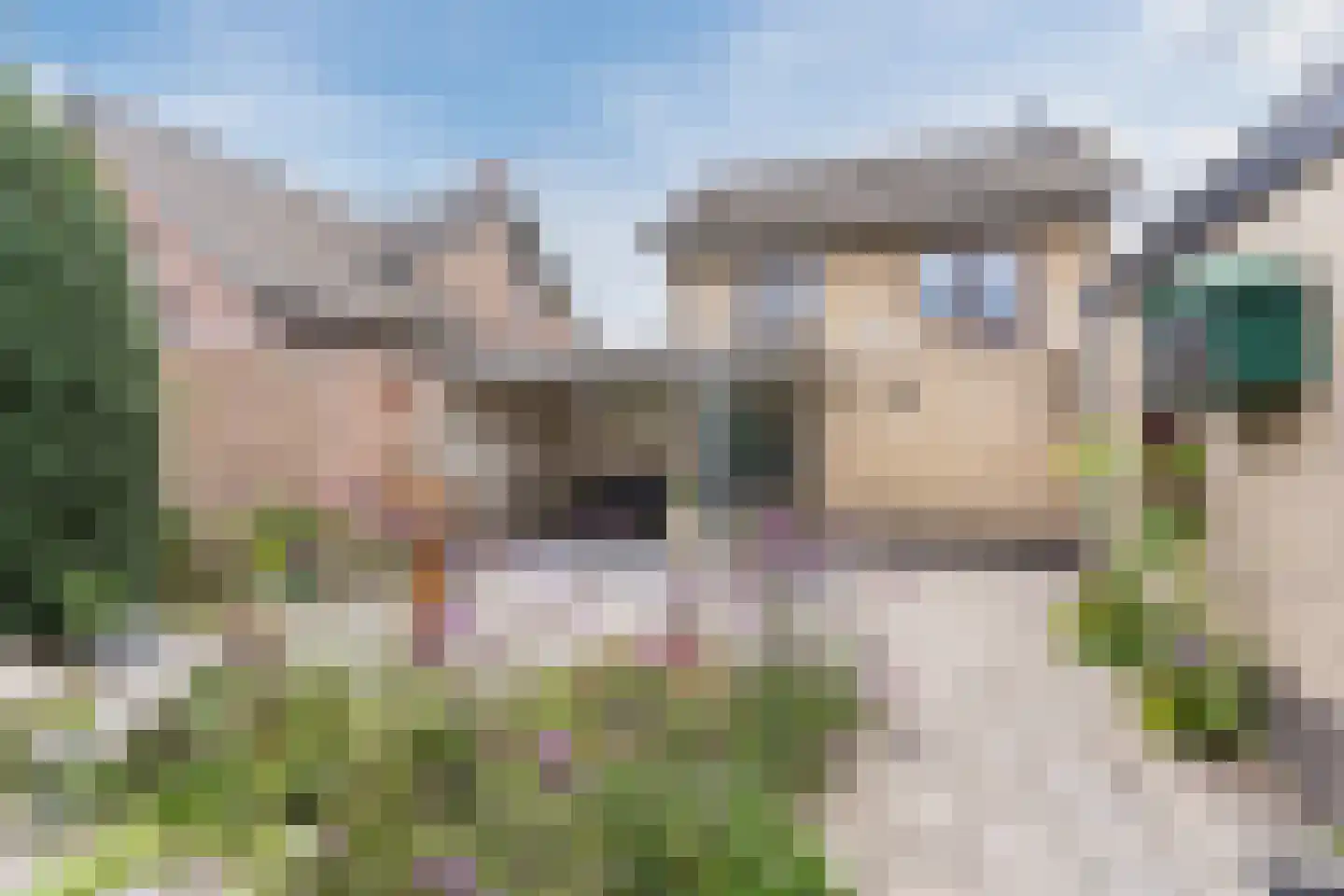 Lensheuvel 53 Reusel thumbnail 35