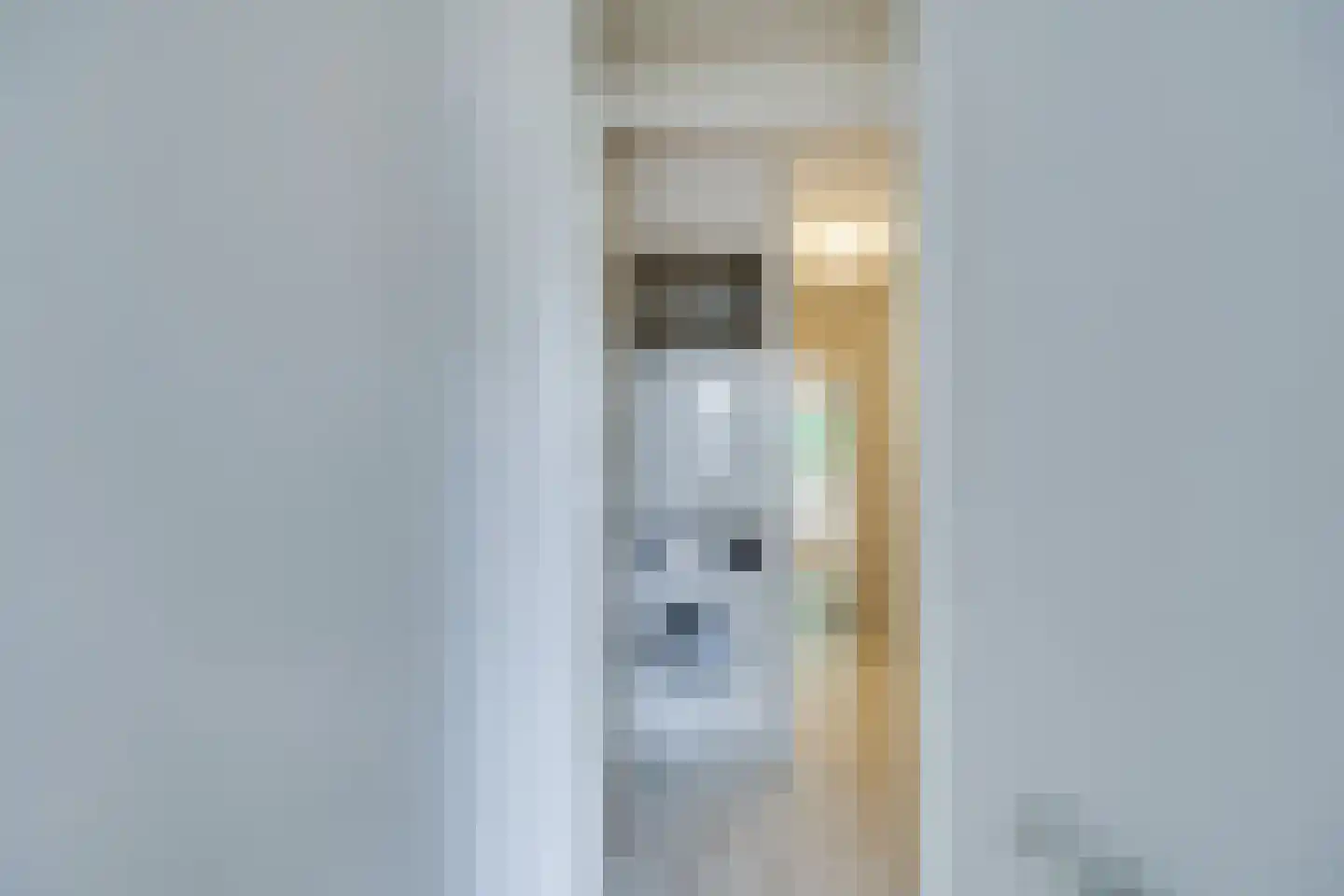 Lensveltlaan 5 Nieuwegein thumbnail 20