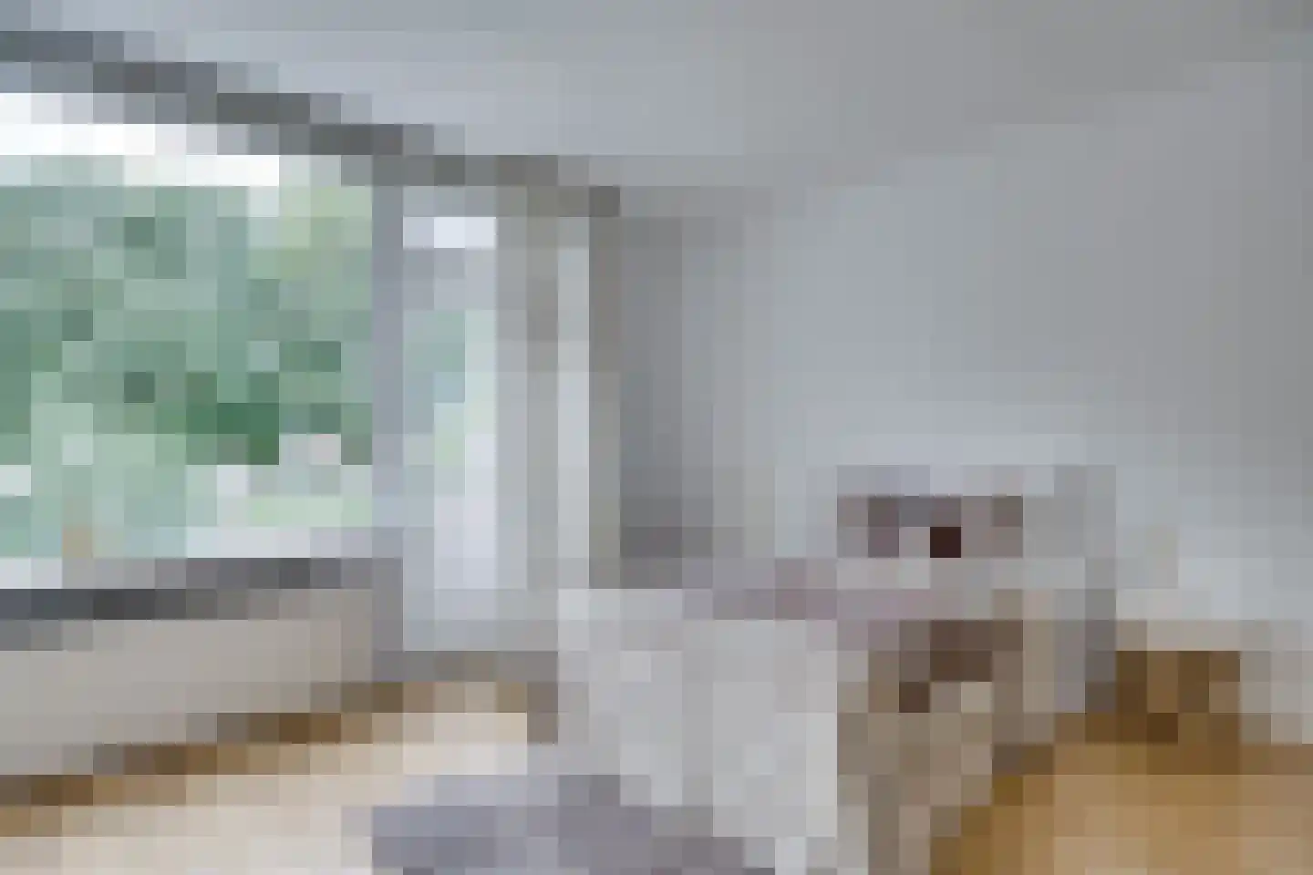Lensveltlaan 5 Nieuwegein thumbnail 25