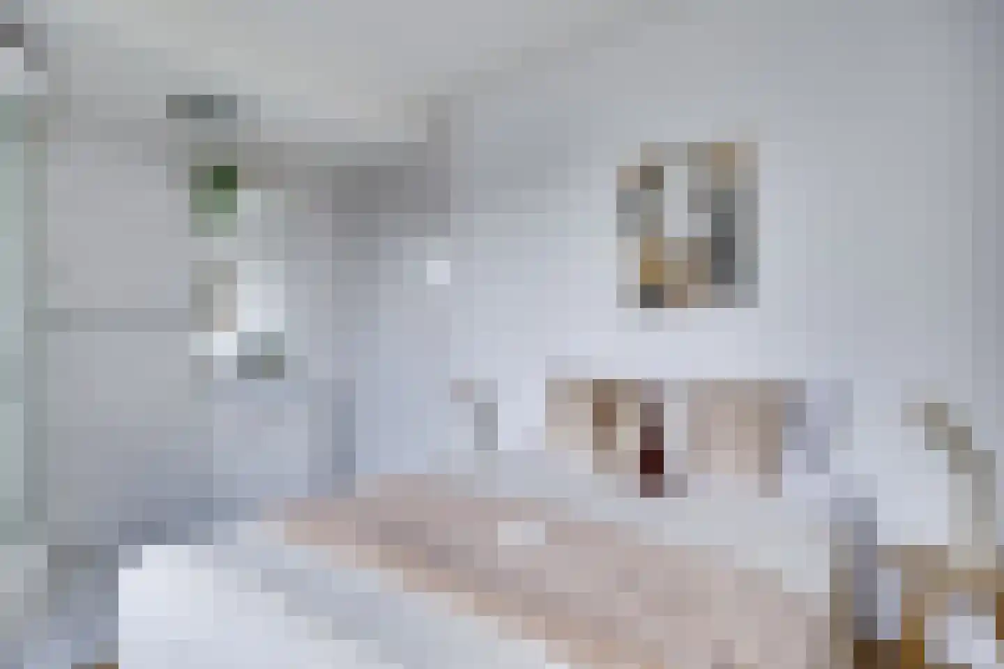 Lensveltlaan 5 Nieuwegein thumbnail 33