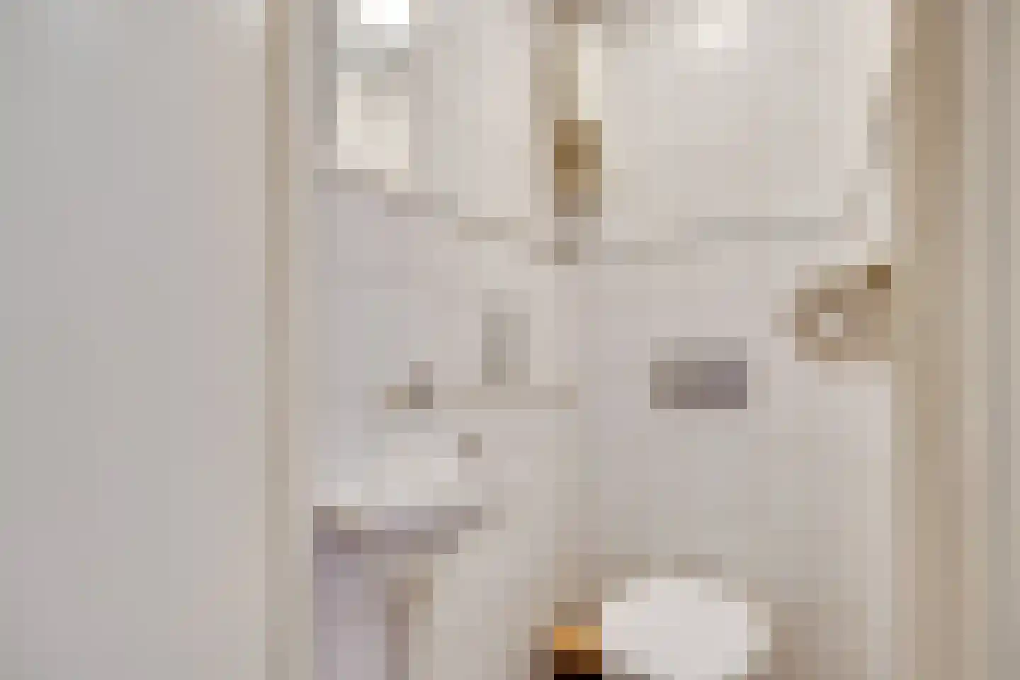 Lensveltlaan 5 Nieuwegein thumbnail 38