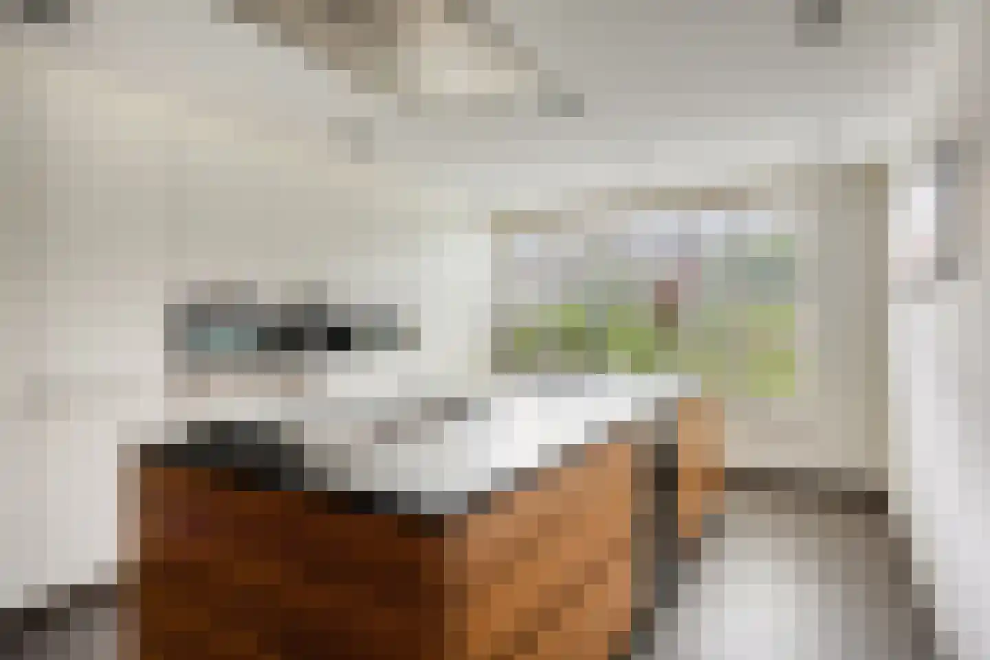 Lentebloem 31 Rotterdam thumbnail 16