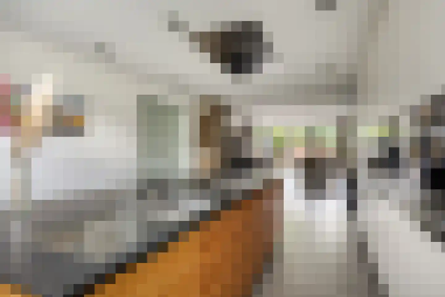 Lentebloem 31 Rotterdam thumbnail 17