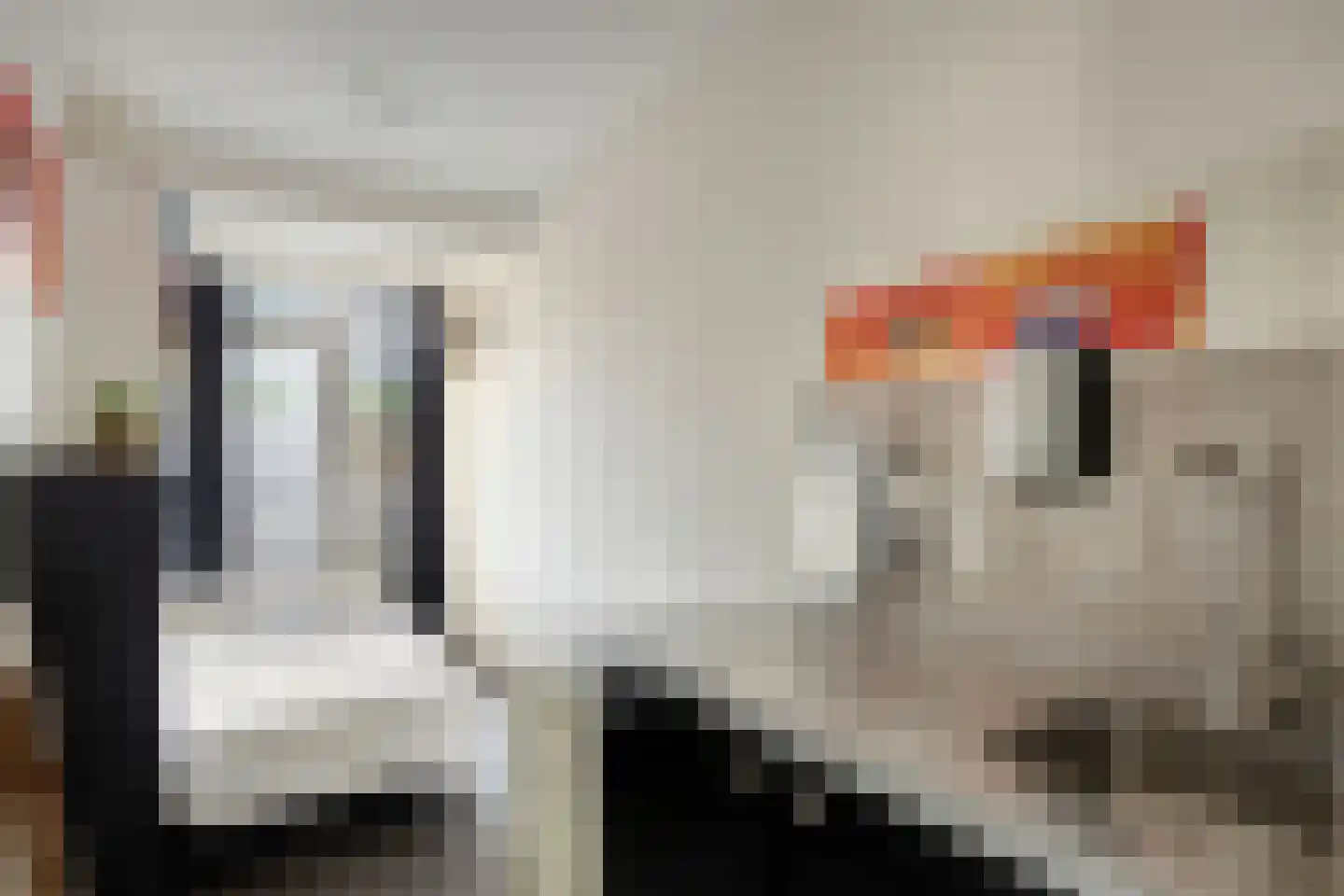 Lentebloem 31 Rotterdam thumbnail 27