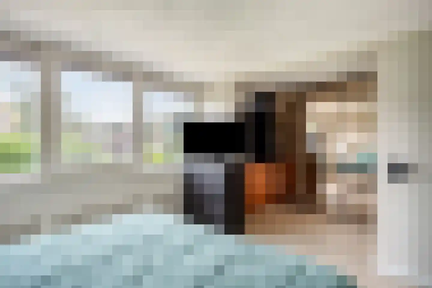 Lentebloem 31 Rotterdam thumbnail 33