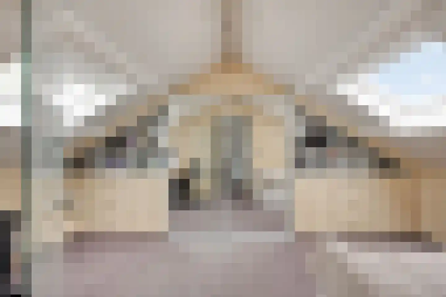 Lentebloem 31 Rotterdam thumbnail 43