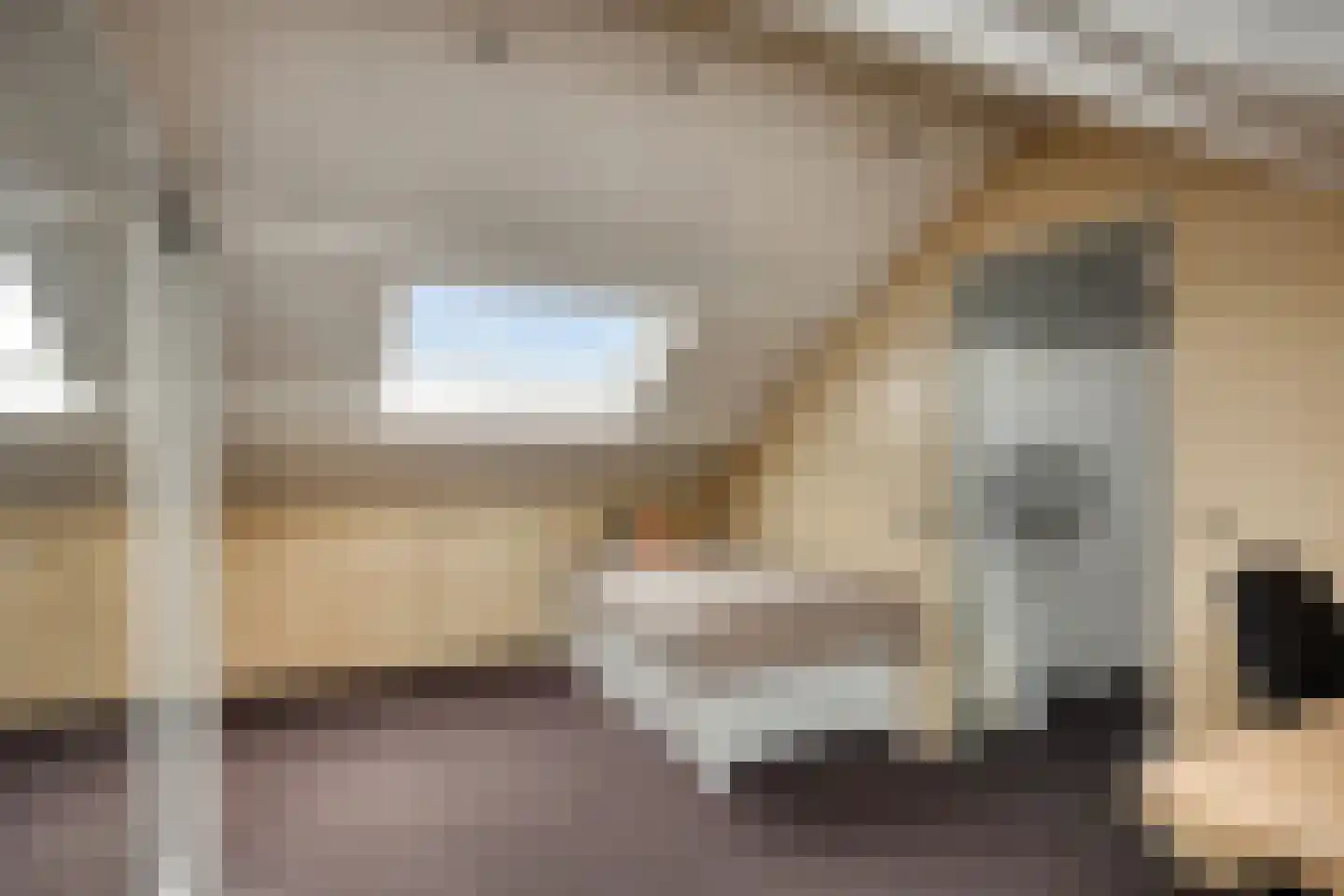 Lentebloem 31 Rotterdam thumbnail 45