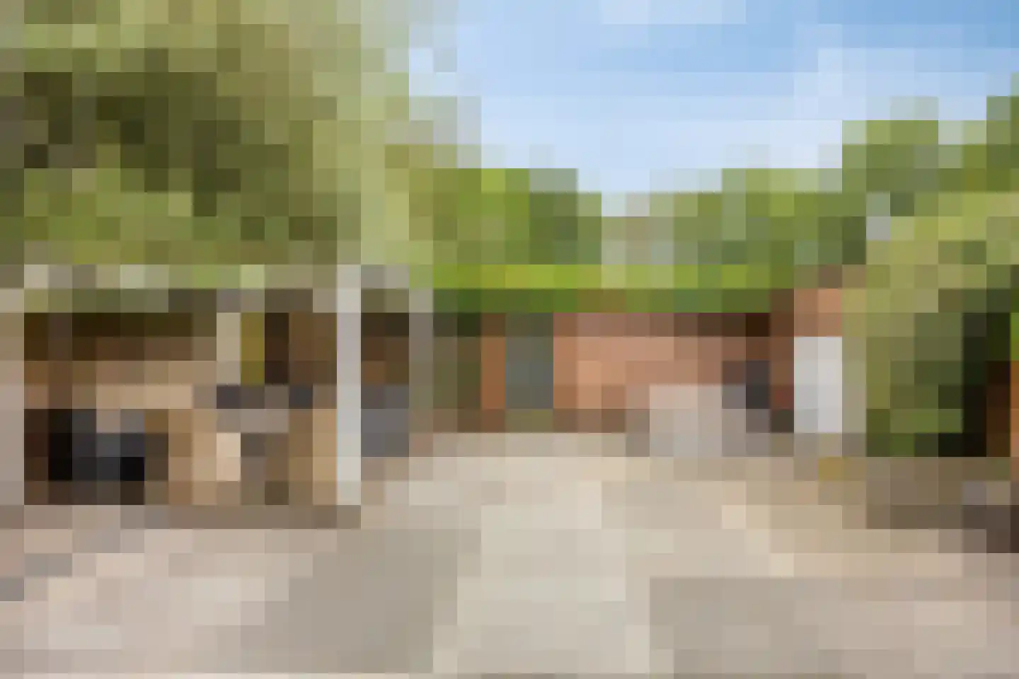 Lentebloem 31 Rotterdam thumbnail 46