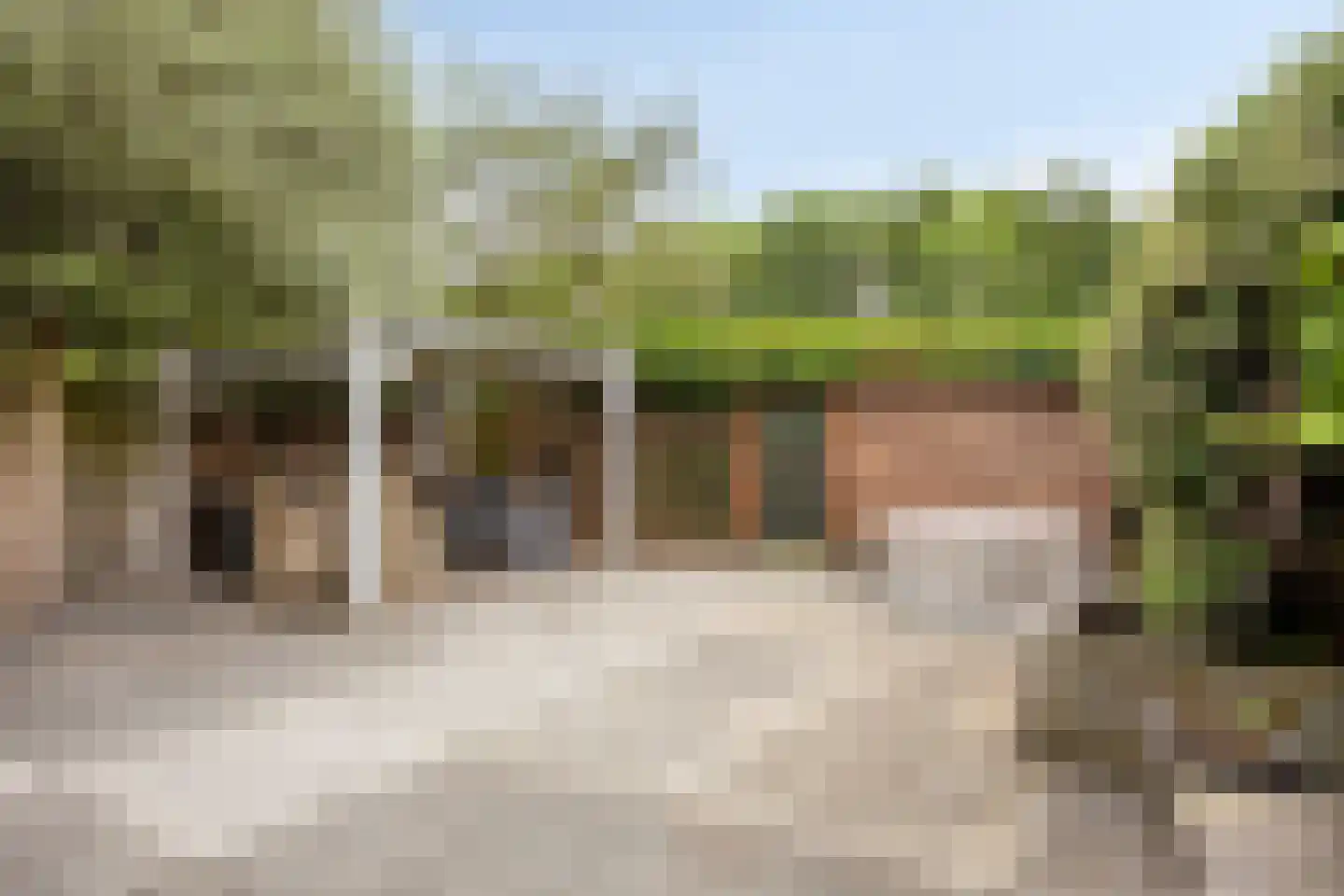 Lentebloem 31 Rotterdam thumbnail 47