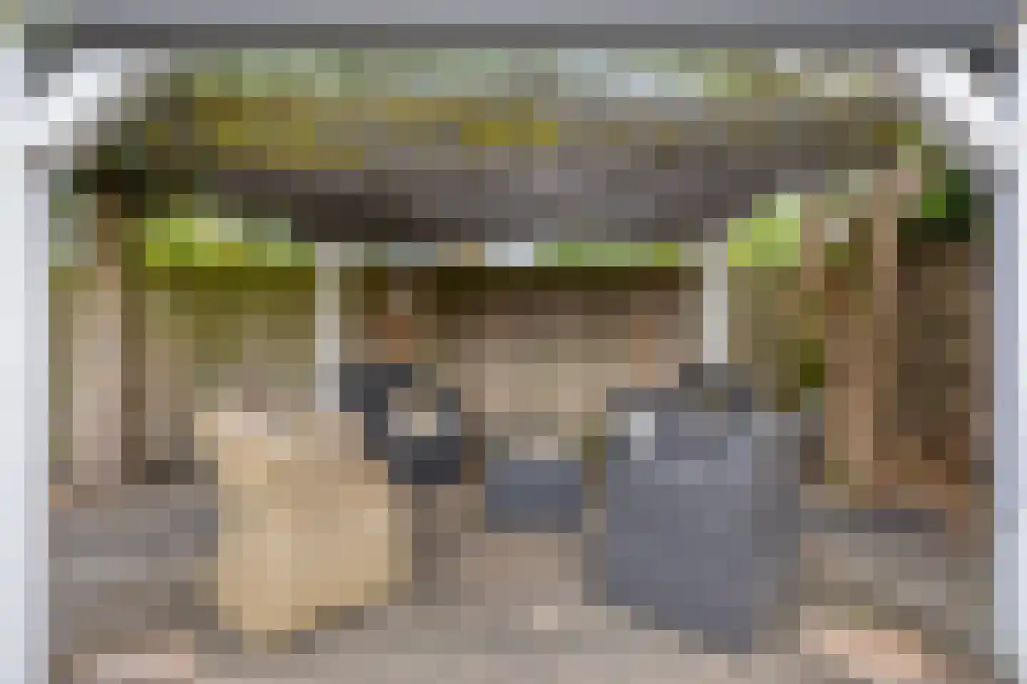 Lentebloem 31 Rotterdam thumbnail 48