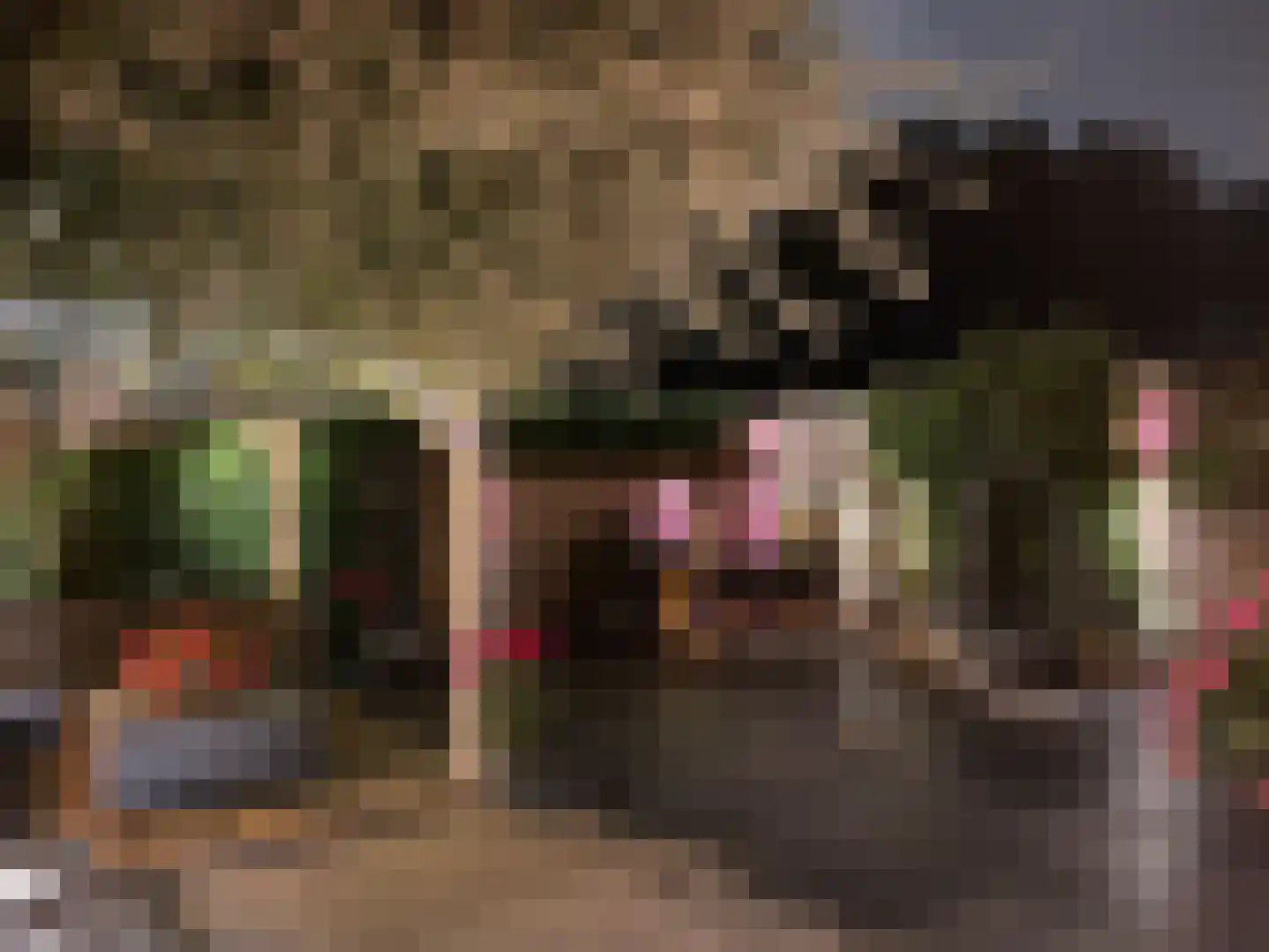 Lentebloem 31 Rotterdam thumbnail 49