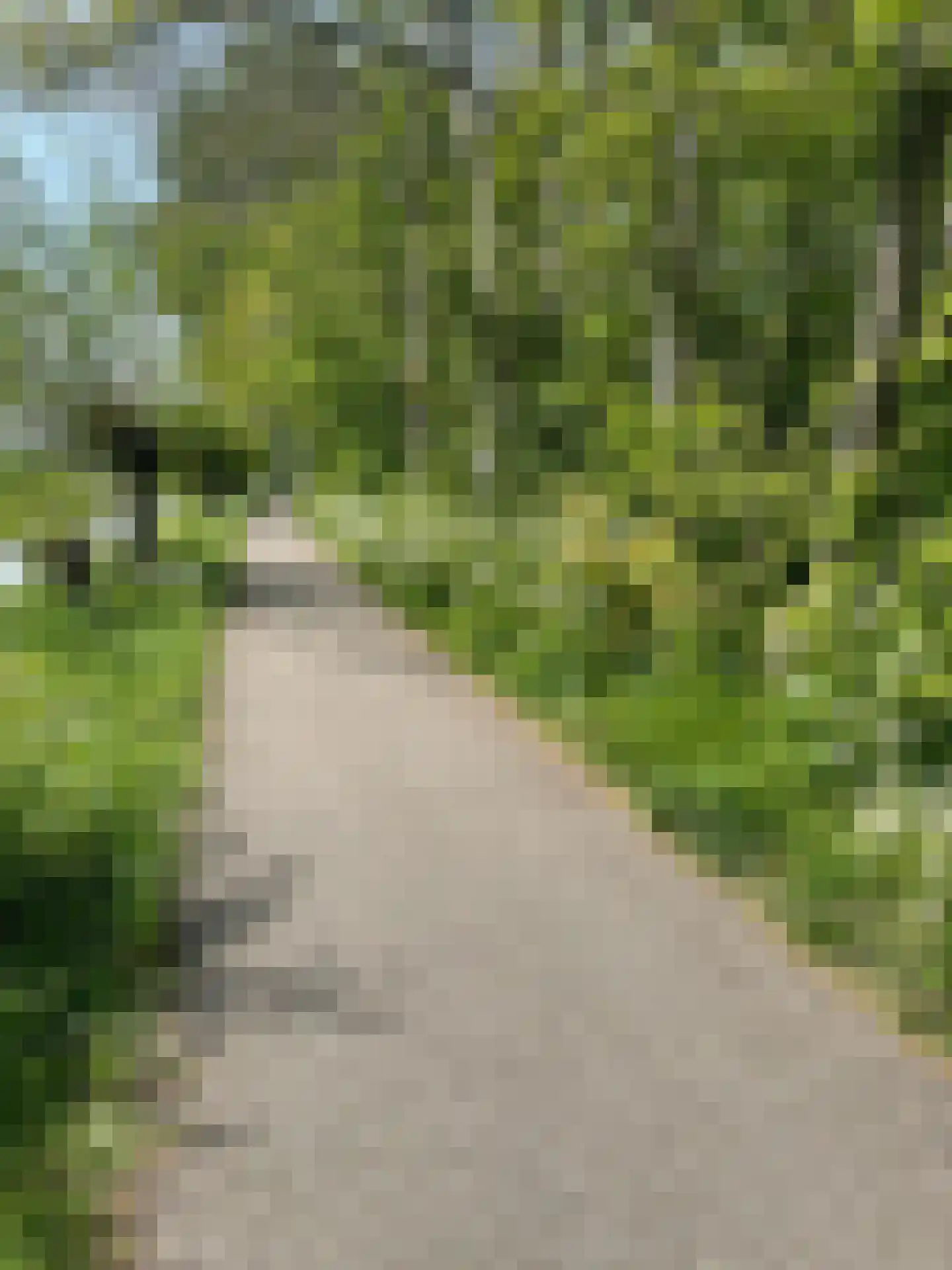 Lentebloem 31 Rotterdam thumbnail 50