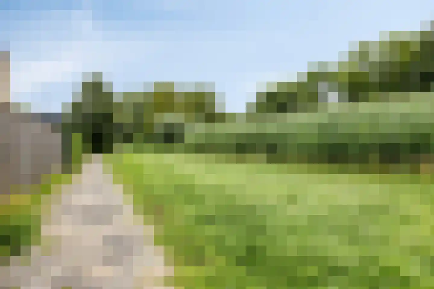 Lentebloem 31 Rotterdam thumbnail 52
