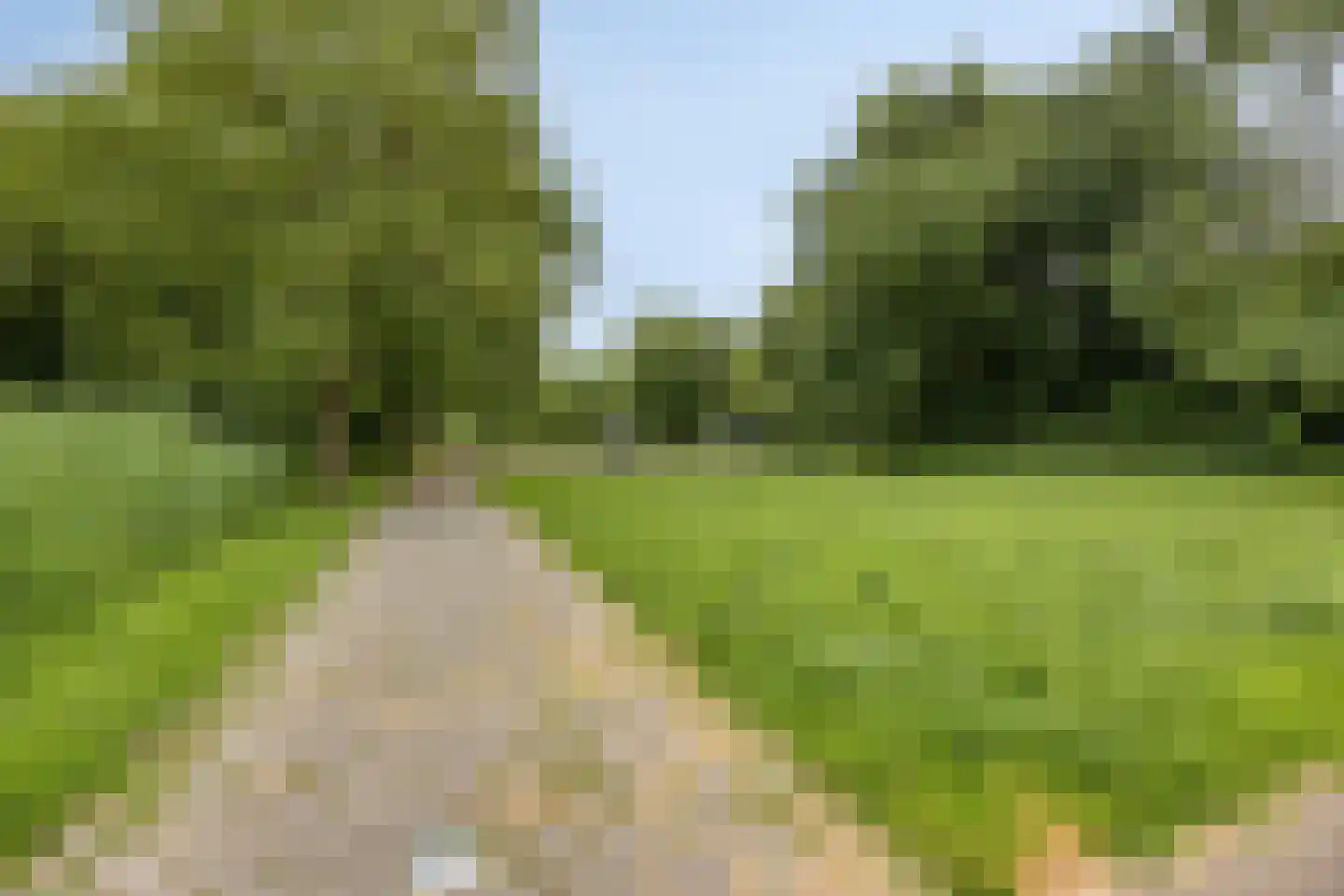 Lentebloem 31 Rotterdam thumbnail 54