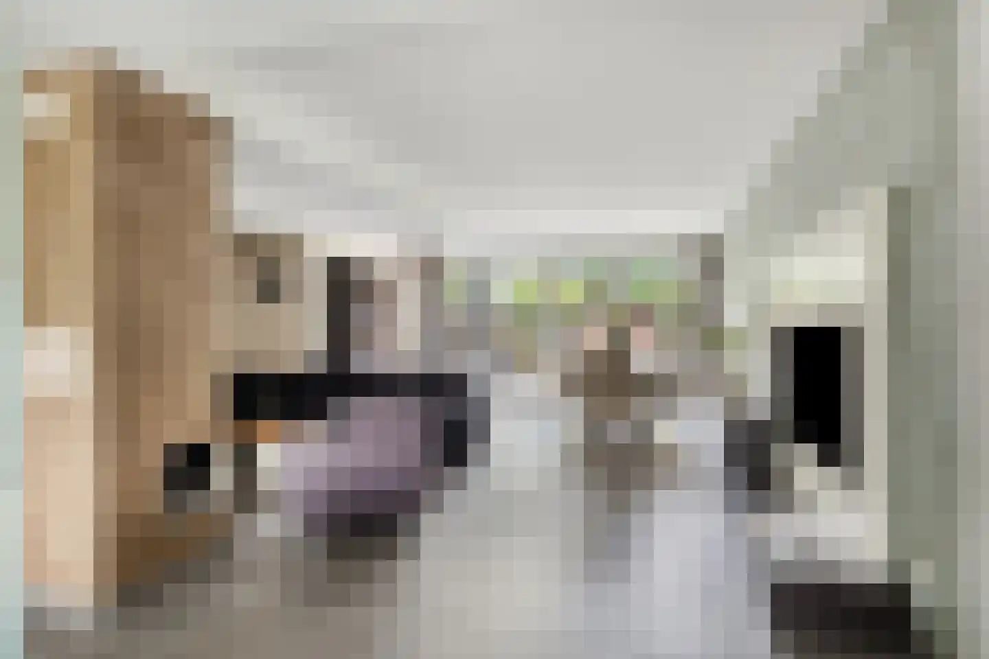 Lentebloem 31 Rotterdam thumbnail 9