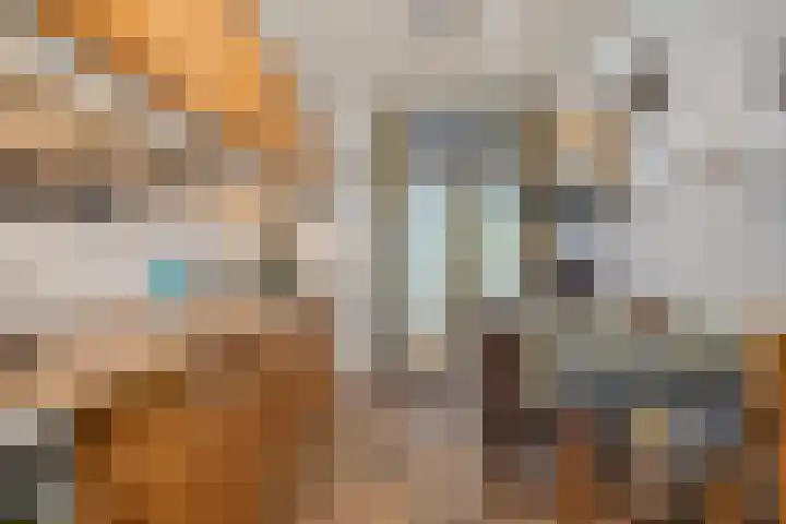 Lentebloem 6 Rotterdam thumbnail 11