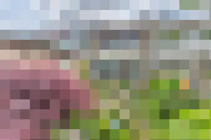 Lentebloem 6 Rotterdam thumbnail 12