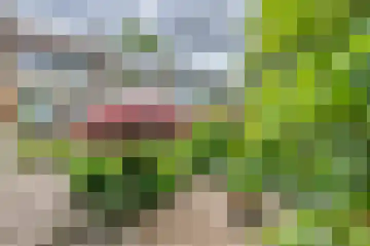 Lentebloem 6 Rotterdam thumbnail 13