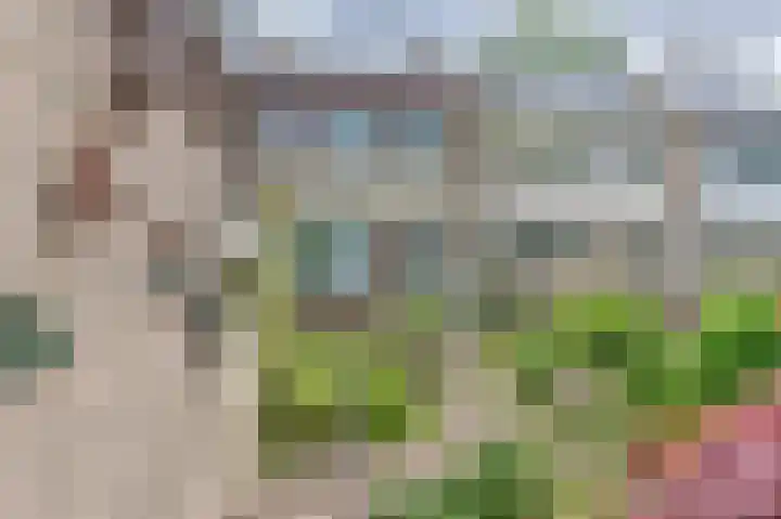 Lentebloem 6 Rotterdam thumbnail 14