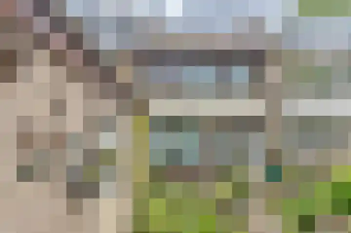 Lentebloem 6 Rotterdam thumbnail 16