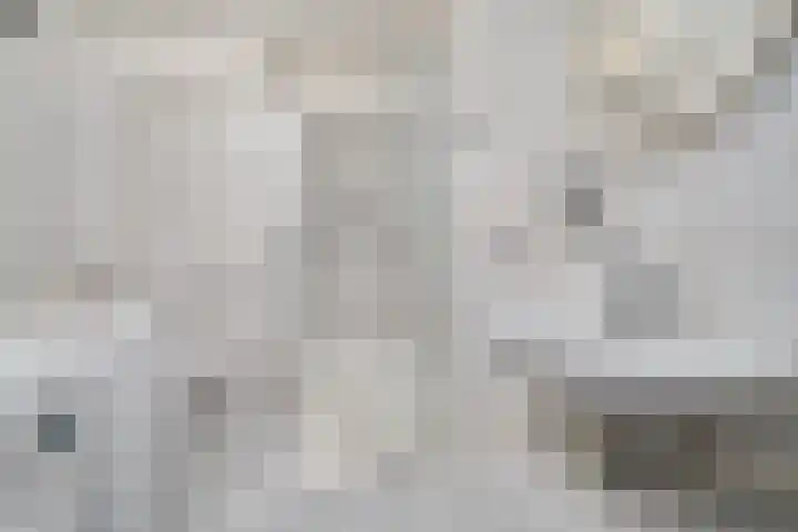 Lentebloem 6 Rotterdam thumbnail 23