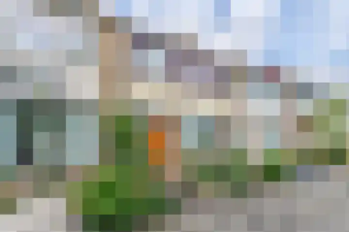 Lentebloem 6 Rotterdam thumbnail 24