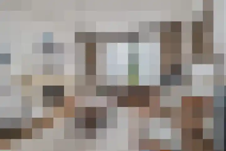 Lentebloem 6 Rotterdam thumbnail 6
