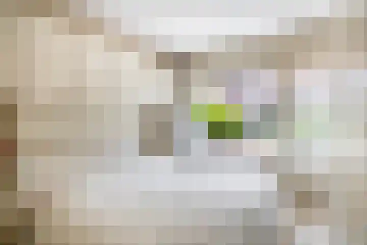 Lentedans 11 Capelle aan den IJssel thumbnail 18