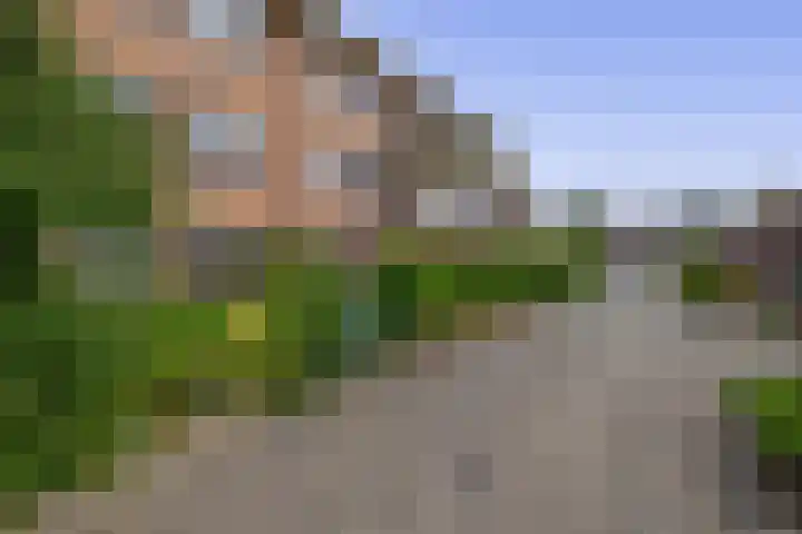 Lentedans 11 Capelle aan den IJssel thumbnail 29
