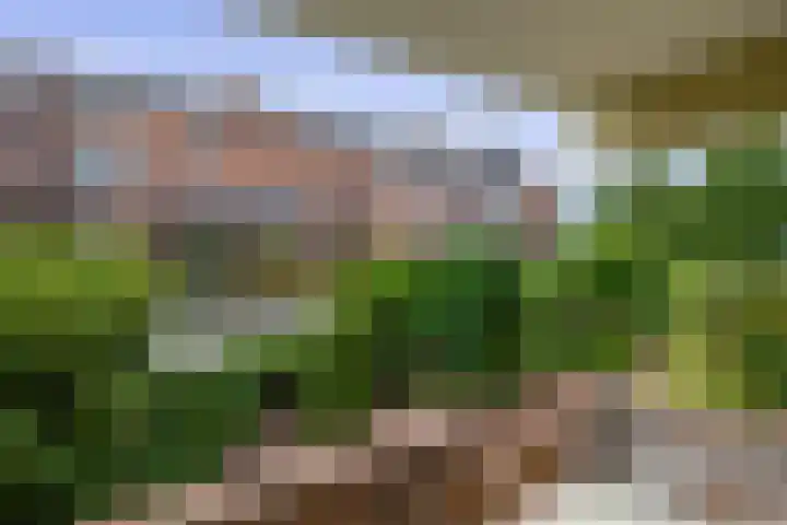 Lentedans 11 Capelle aan den IJssel thumbnail 5